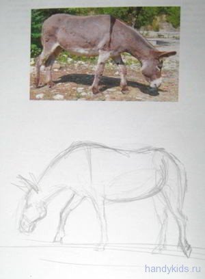 Осел рисовать поэтапно
