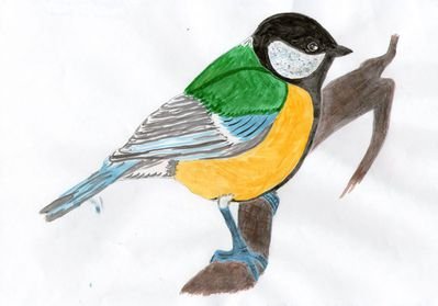 Зимующие птицы цветными карандашами