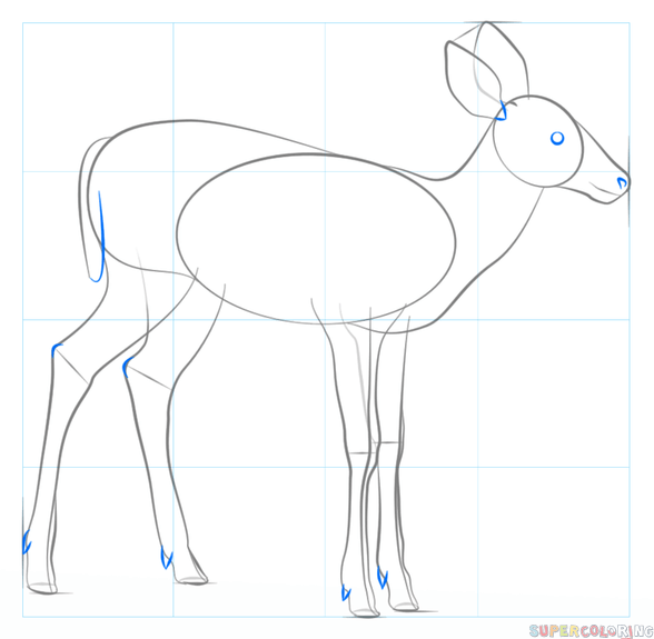 Схемы рисования животных для дошкольников