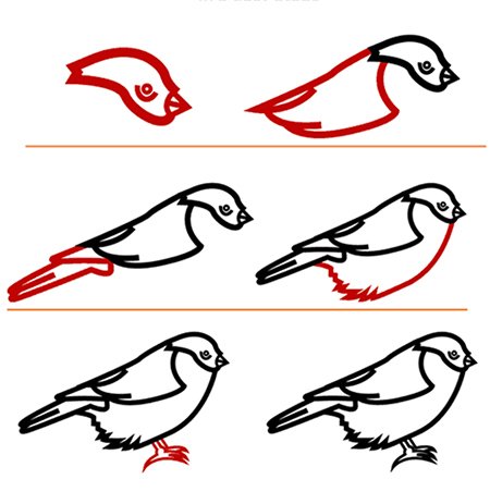 Снегирь поэтапное рисование для детей