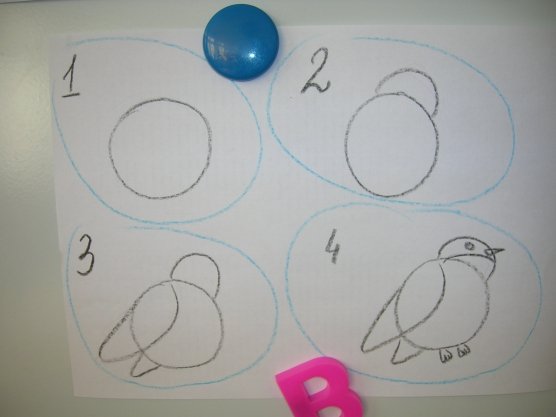 Поэтапное рисование снегиря в средней группе