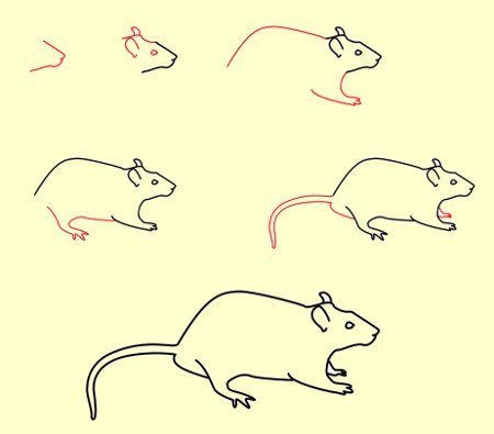 Мышь пошаговое рисование