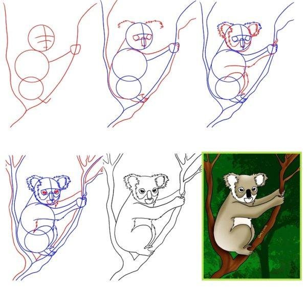 Эскиз Куала