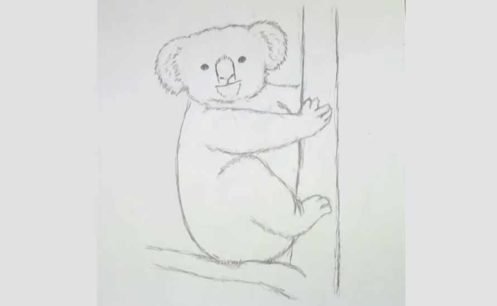 Рисование коалу