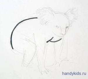 Коала рисунок для срисовки