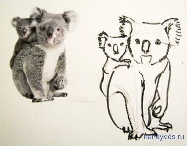 Как нарисовать коалу (64 фото)