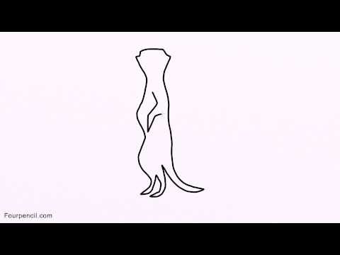 Как нарисовать мангуста поэтапно для детей легко