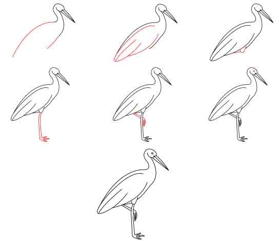 Поэтапное рисование аиста