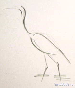 Как нарисовать цаплю карандашом поэтапно