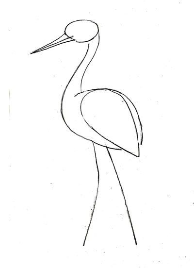 Белая цапля рисунок