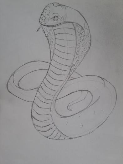 Кобра карандашом пошагово