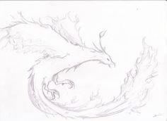 Феникс рисунок карандашом легкий для срисовки