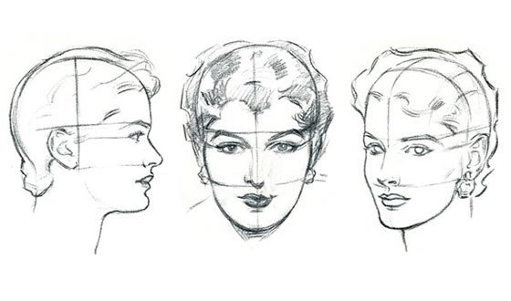 Лицо человека схема сбоку