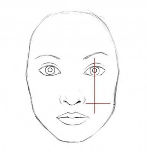 Нанесение румян на овальное лицо