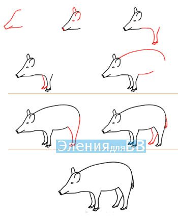 Поэтапное рисование кабана для детей