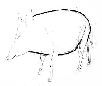 Уроки рисования кабана