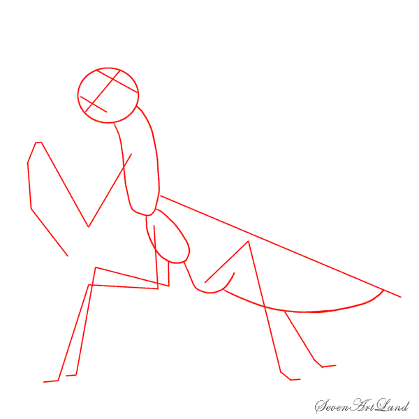 Поэтапное рисование богомола