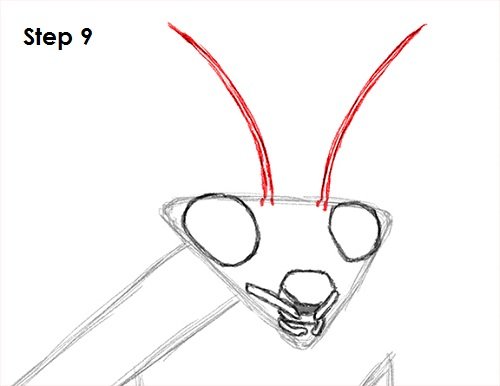 Рук богомол рисунок