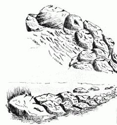 Трафарет природного камня