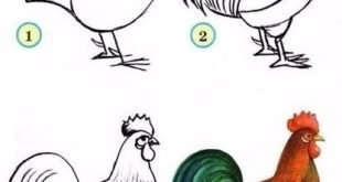 Этапы рисования петуха