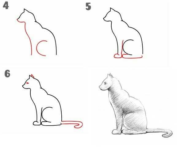 Как нарисовать сидящую кошку сбоку