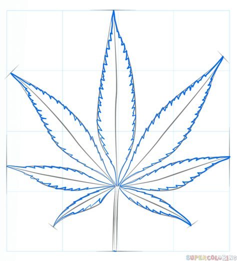 Как рисовать коноплю фото легальная марихуана страны
