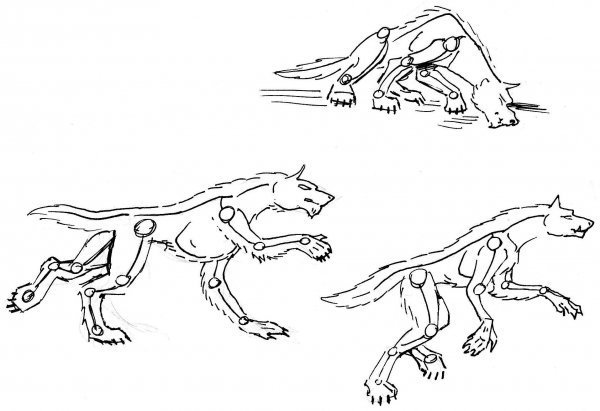 Нарисовать голову оборотня