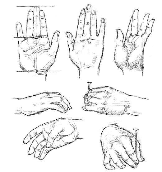 Положение рук рисунок