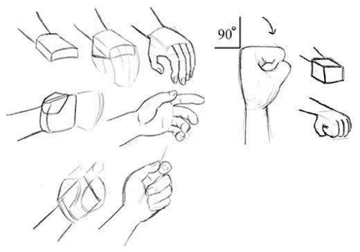 Поэтапное рисование рук для начинающих