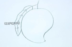 Поэтапное рисование манго