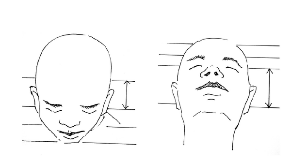 Наклон лица вниз изо 6