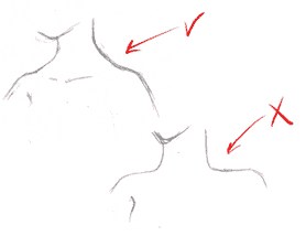 Шея и плечи рисование