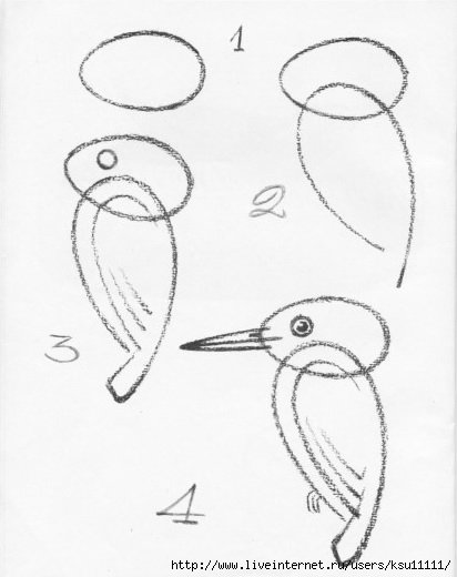 Поэтапное рисование перелетных птиц