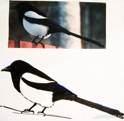 Рисование скворец в старшей группе