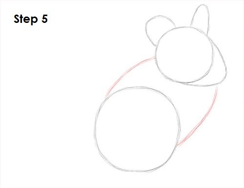 Шиншилла стилизация