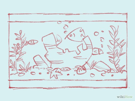 Аквариум простым карандашом