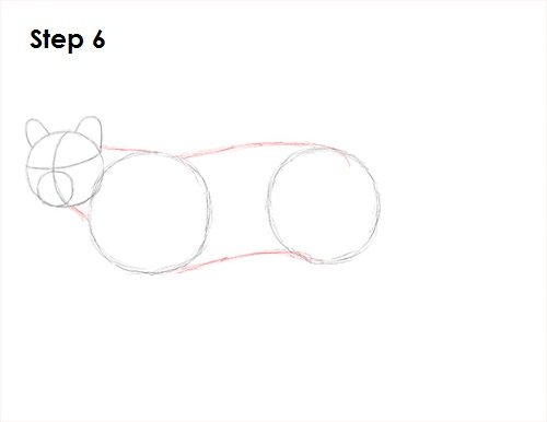 Как нарисовать пуму карандашом поэтапно