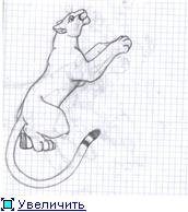 Рисунки в тетради Пумы лёгкие