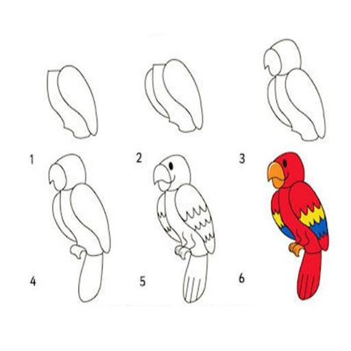 Тукан поэтапное рисование