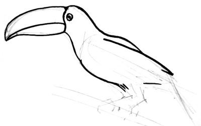 Рисование тукана поэтапно