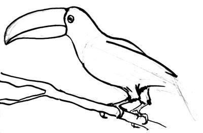 Тукан поэтапное рисование