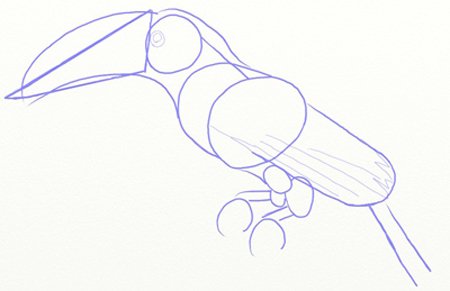 Тукан поэтапное рисование презентация