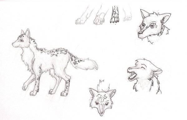 Волк для срисовки поэтапно
