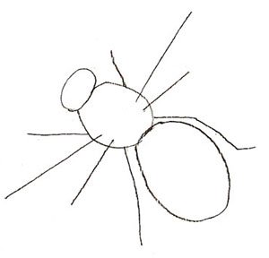 Насекомое поэтапное рисование Шмель