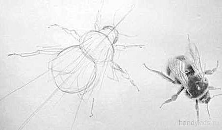 Изо Шмель из линий