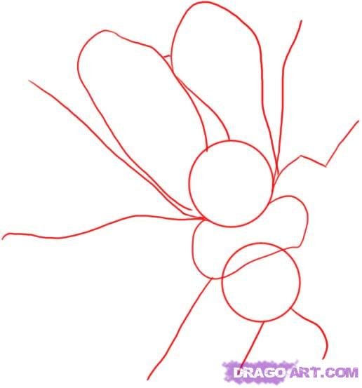 Шмель поэтапное рисование