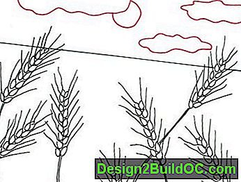 Поэтапное рисование Колоса