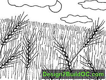 Нарисованное поле