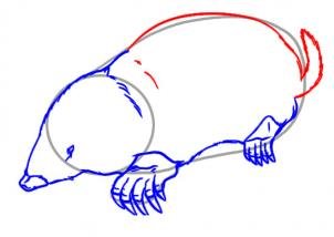 Крот пиктограмма