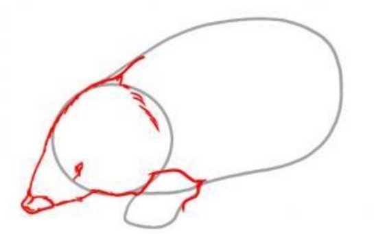 Крот рисунок